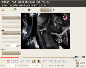 avidemux screenshot ubuntu
