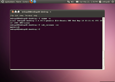 ubuntu 10.10 maverick meerkat