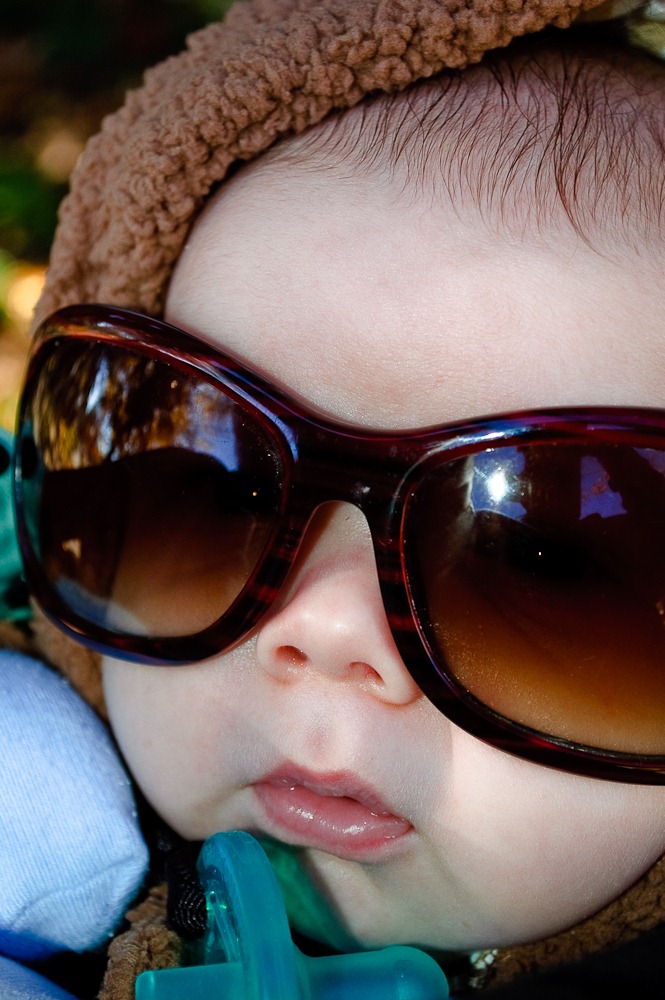 [2009-11-03 Leaves 061[3].jpg]