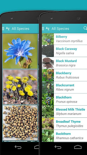 免費下載書籍APP|iKnow Medicinal Plants 2 PRO app開箱文|APP開箱王