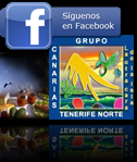 Grupo Tenerife Norte 2