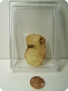 StormTrooper Potato Chip