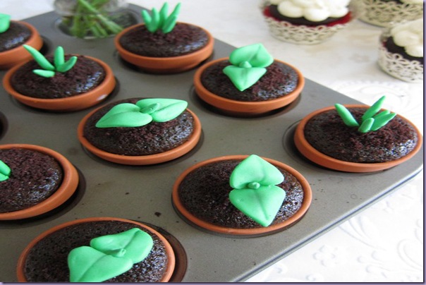 Cupcakes-Chocolate-Plantinha-Vasinho