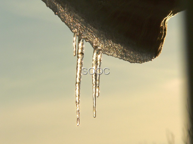 [Sparkly icicles[11].jpg]