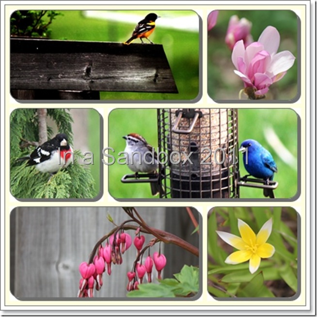 birds and blooms mosaic