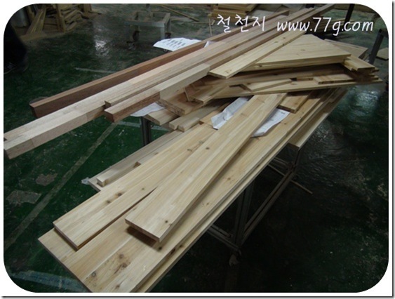 철천지DSC05145-20101116_thumb