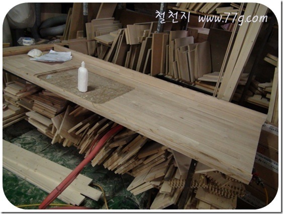 철천지DSC05140-20101116_thumb