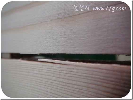철천지DSC05244-20101120