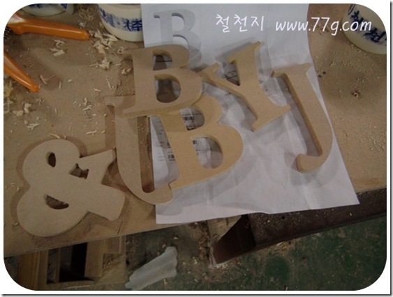 철천지DSC05534-20101202