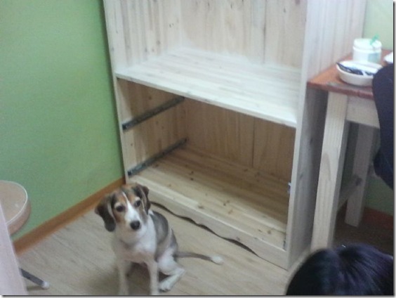 Gallery4095_2