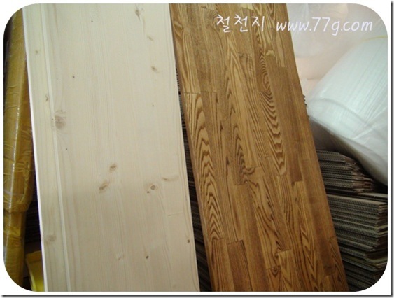 철천지DSC05569-20101203