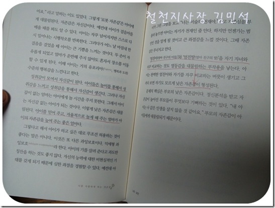 철천지DSC05885-20101214