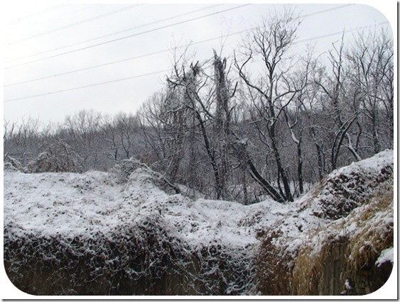 철천지DSC06207-20101228