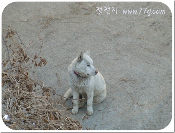 철천지DSC06314