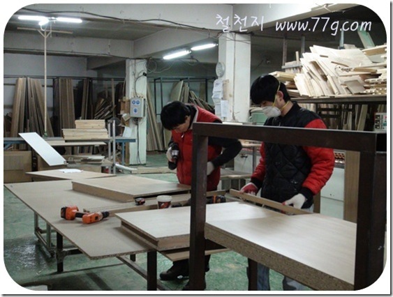 DIY1027DSC06504-20110120