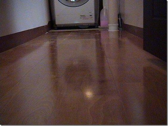 Gallery411_0