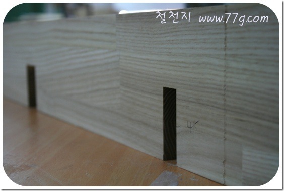 철천지IMG_6142-20110209-171117
