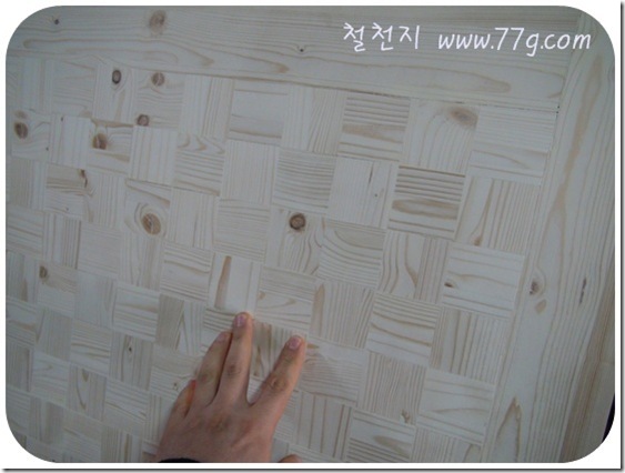 철천지DSC06640-20110216