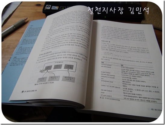 철천지DSC06944-20110302