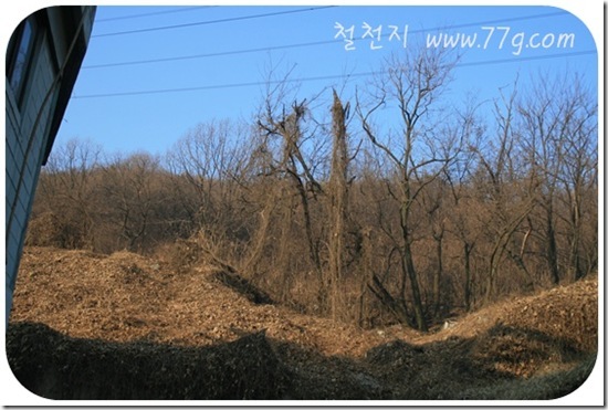 철천지IMG_6434-20110222-175326