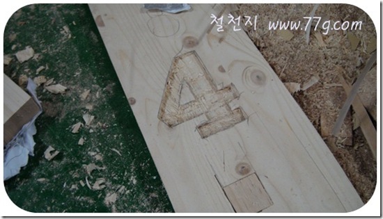 철천지DSC07238-20110314
