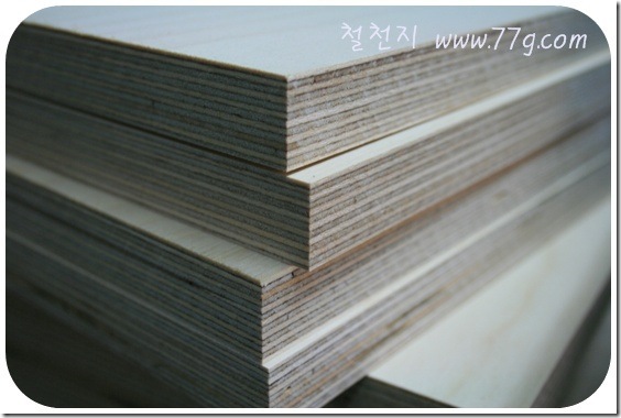 철천지IMG_6962-20110315-165400