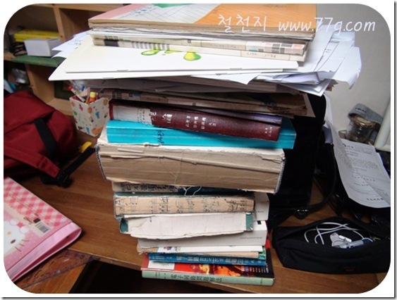 철천지DSC07314-20110323