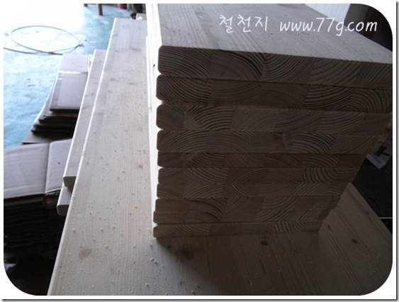 철천지DSC07652-20110329
