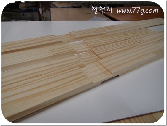 철천지DSC08157-20110421