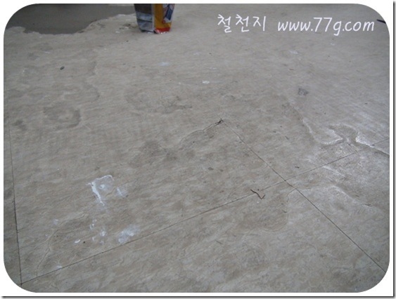 철천지DSC08322-20110427