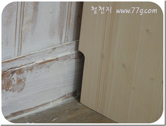 철천지DSC08368-20110428