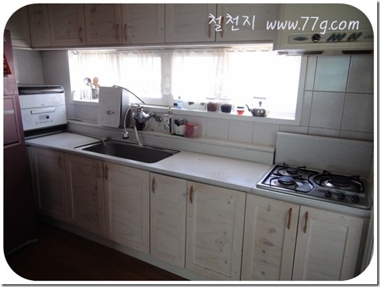 철천지DSC08624-20110507