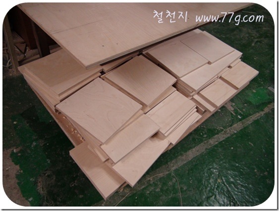 철천지DSC08998-20110525-102851
