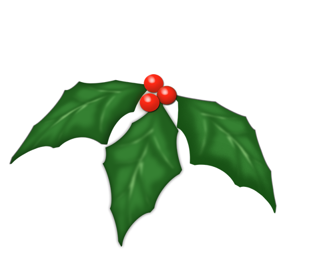 SD%20DTH%20HOLLY.png