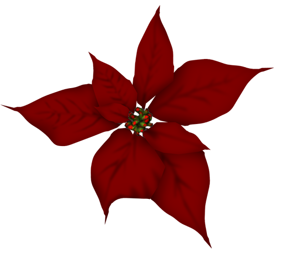 SD%20DTH%20POINSETTA%202.png