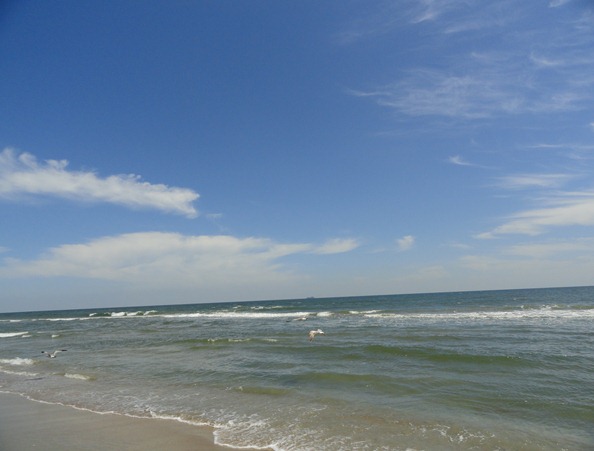 virginia beach 2011 063