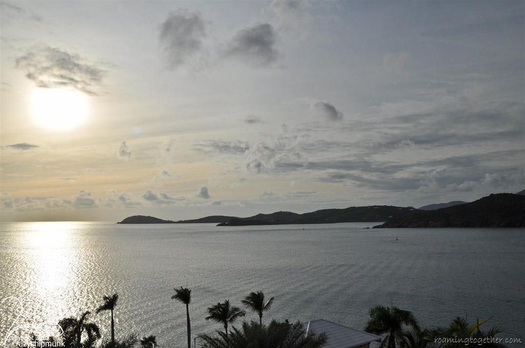 [DSC_15392 (Large)[8].jpg]