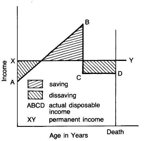 Image result for life cycle hypothesis diagram