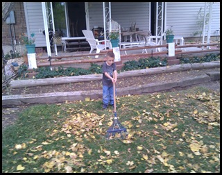 11-6-2010 raking leaves