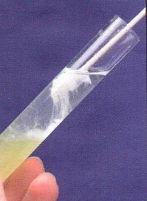 [clip_image004[9].jpg]