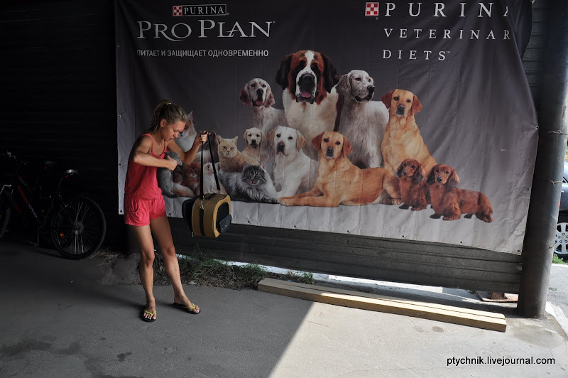 ЗОСЯ ПОЗНАЕТ МИР (ВЕТКЛИНИКА) 