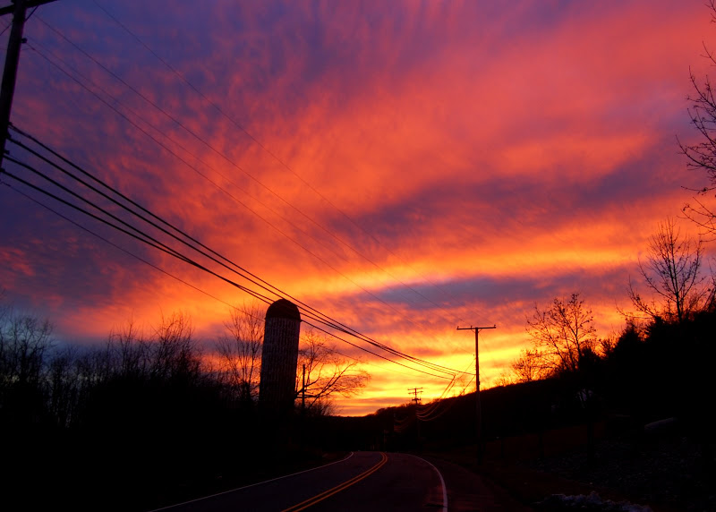 DSC_4179.JPG