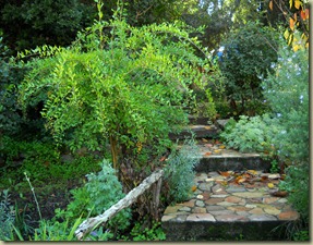 DSCN6971 DSCN6971