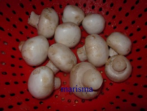 solomillo con salsa de champis,champis(1) solomillo con salsa de champis,champis(1)