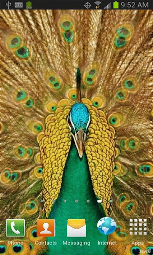 Peacock Live Wallpaper