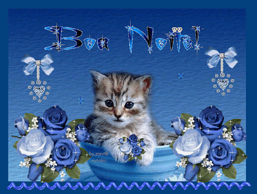 Arts.SoniaRutchii.b.noite.png