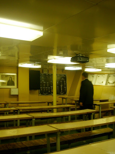 Какая она, Паллада? 