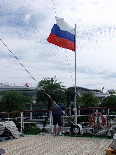 Какая она, Паллада? 