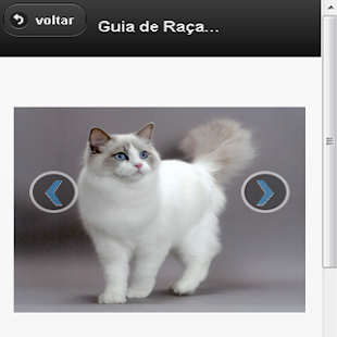 Free Download Meu Amigo Gato (Guia de Raças) APK for Android