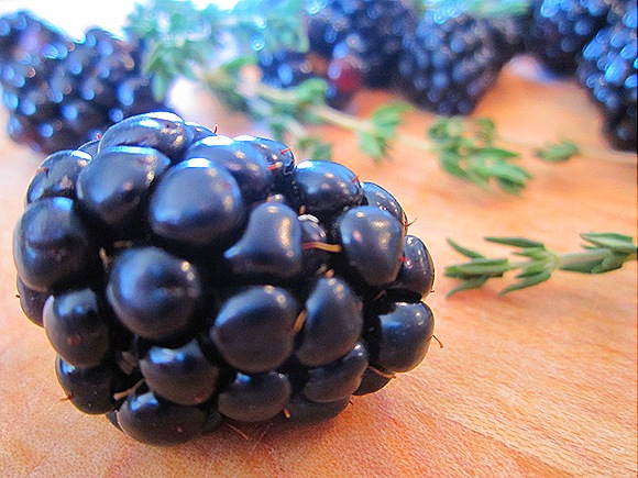 Fresh Blackberries